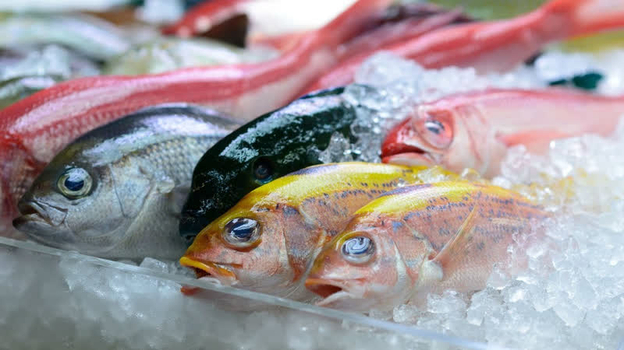 Hãy chọn cá hồi, cá chép hoặc tôm để bổ sung dưỡng chất an toàn